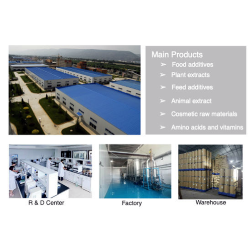 buy cosmetics products Palmitoyl Pentapeptide-4 /Matrixyl Acetate CAS 214047-00-4 Manufactory